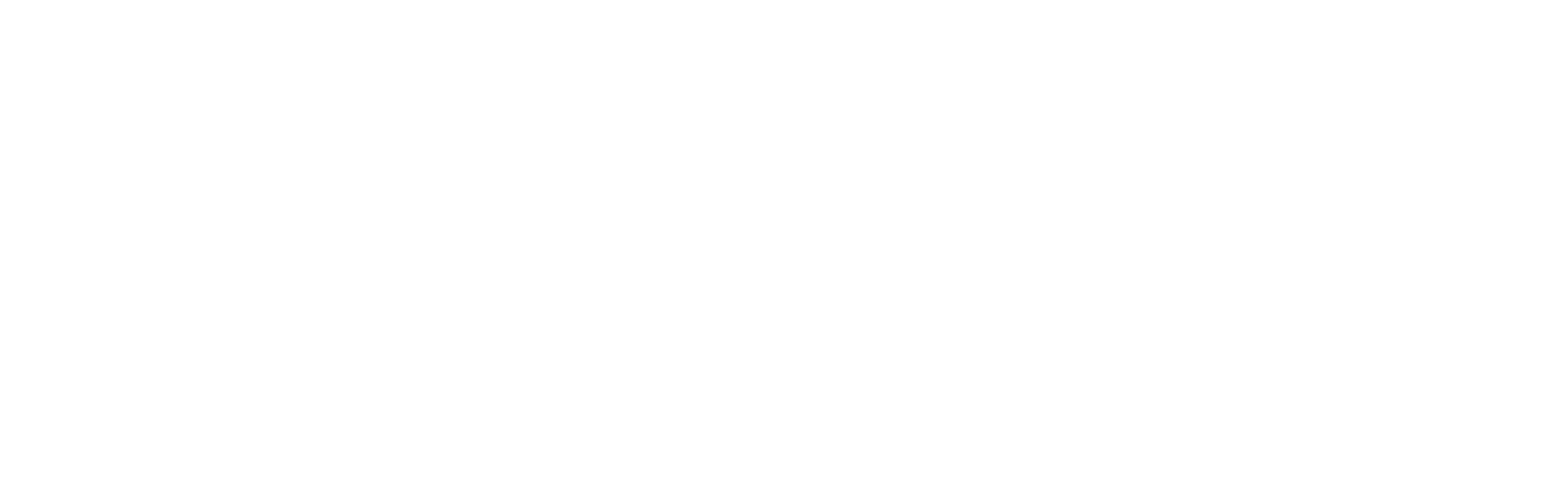 Blackfin Partners